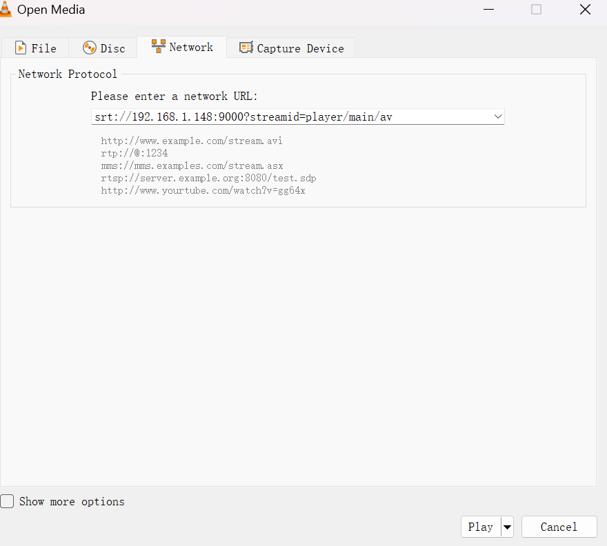 Paste the SRT URL just copied into the text box and click the play button in the lower right corner.
